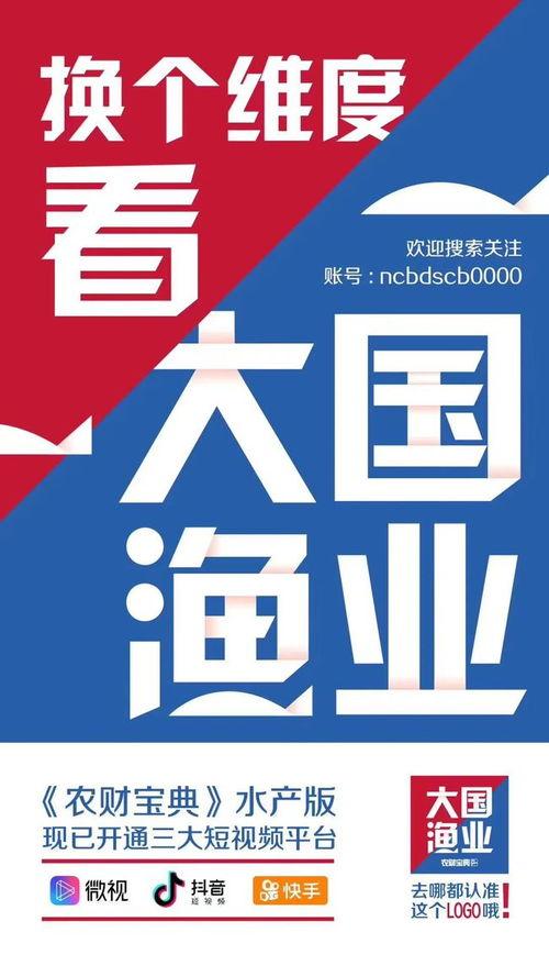 网易爆料最新新闻消息,揭秘最新热点事件背后的真相  第3张